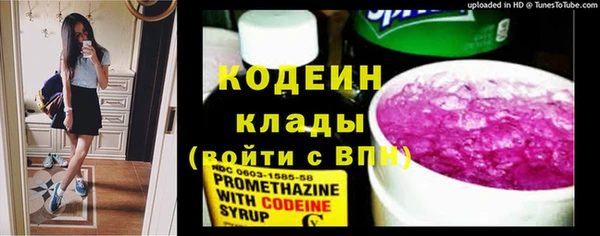 шишки Коряжма