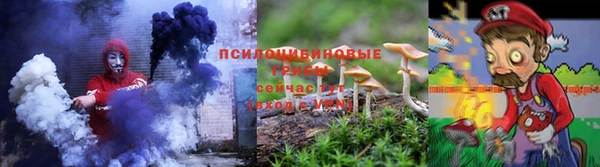 стафф Корсаков