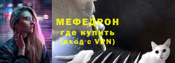 стафф Корсаков