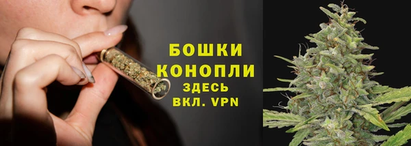 шишки Коряжма