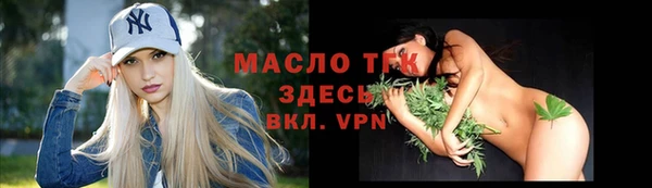 стафф Корсаков