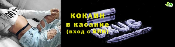 стафф Корсаков