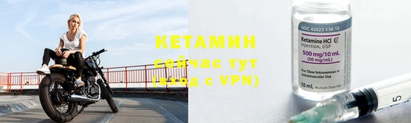 стафф Корсаков