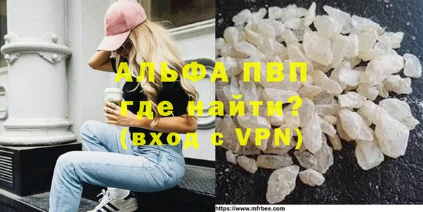 шишки Коряжма