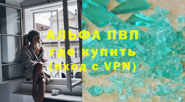 шишки Коряжма