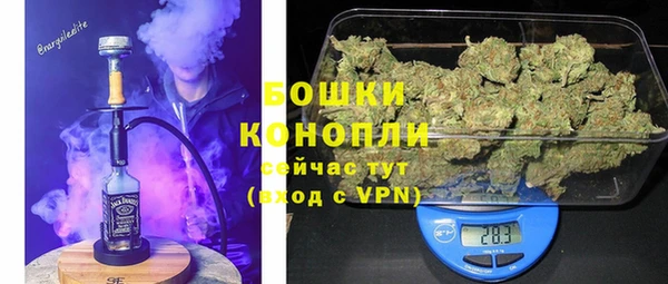 шишки Коряжма