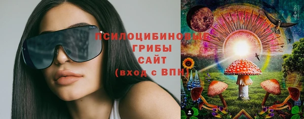 шишки Коряжма