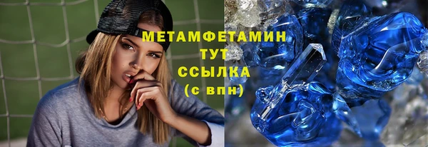 трава Няндома